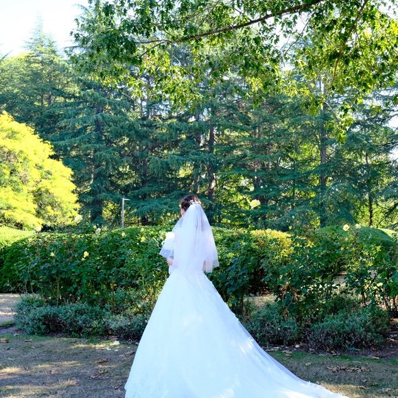 Simple Lace V-neck Train Wedding Dress/ French Tulle Bohemian Wedding Dress - Picture 12 of 12